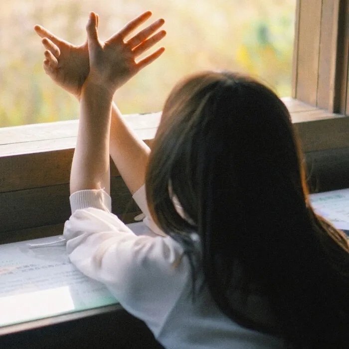 芝加哥烈焰第十二季