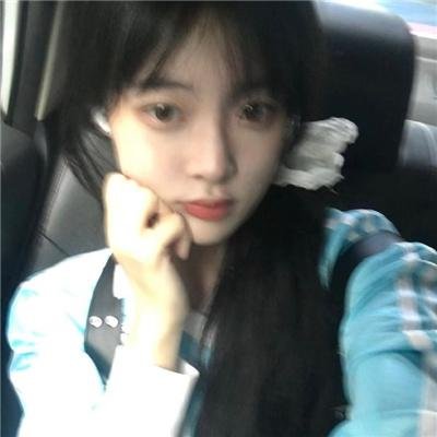 马男波杰克第六季